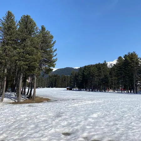 公寓 Davos, Residenz Meierhof, Chasa Hubertus 达沃斯