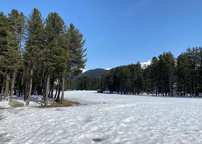 Appartement Davos, Residenz Meierhof, Chasa Hubertus Davos